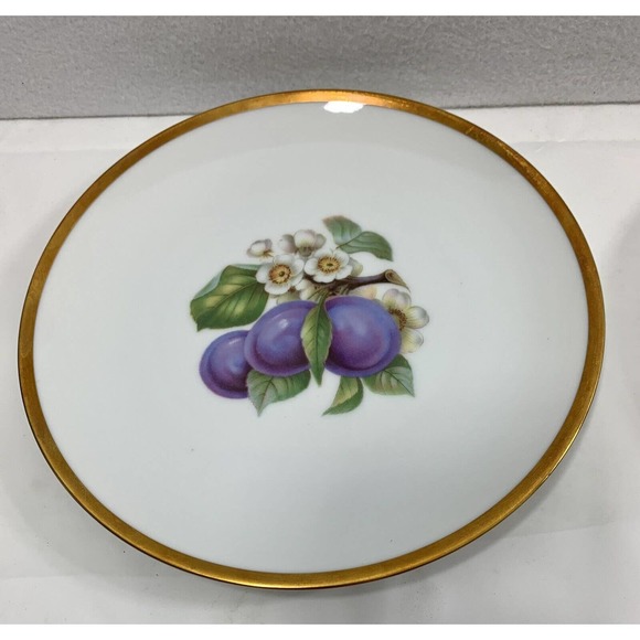 2 Vtg Hutschenreuther Selb Salad Plates Bavaria Germany Pasco Plums Grapes - Picture 4 of 7